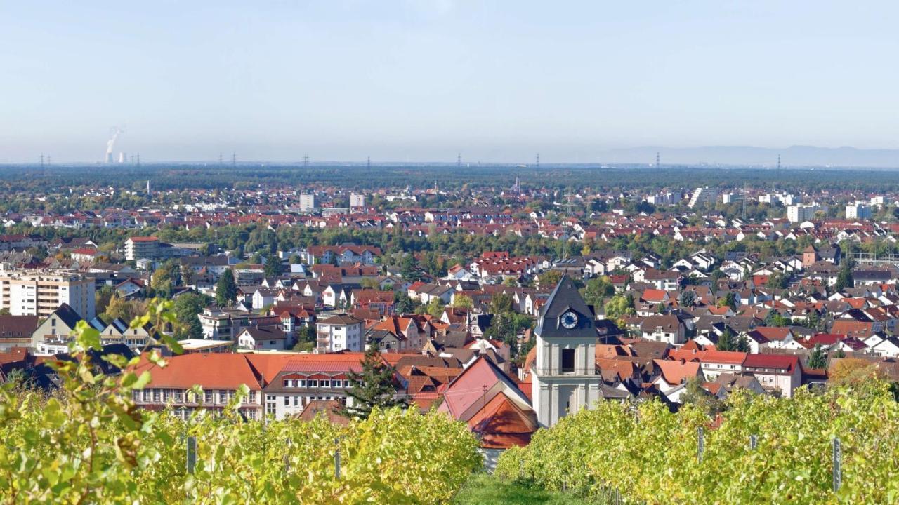 Grosse Ferienwohnung, Apartment In Leimen Wehome Komfort Luaran gambar